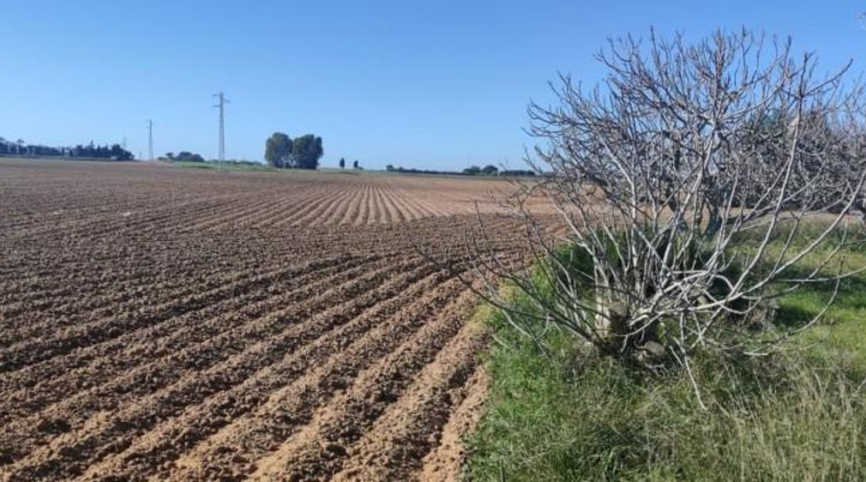 Cádiz - Rota - 14500m2