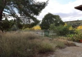Casa de camp amb terreny en venda a la España, Alcanyís, ref.: TR155419 foto