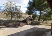 Casa de camp amb terreny en venda a la España, Alcanyís, ref.: TR155419 foto
