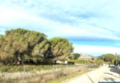 Земля, подлежащая урбанизации на продажу у города Sant Pere de Vilamajor Фото