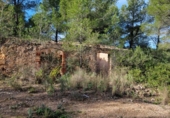 Terreno no urbanizable en venta en la España, Vandellòs, ref: TR366648 foto