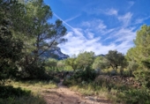 Terreno no urbanizable en venta en la España, Vandellòs, ref: TR366648 foto