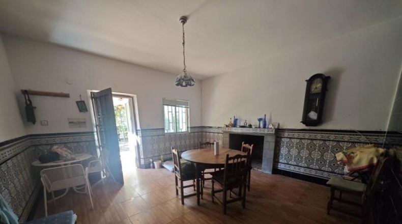 Cáceres - Plasencia - 10000m2