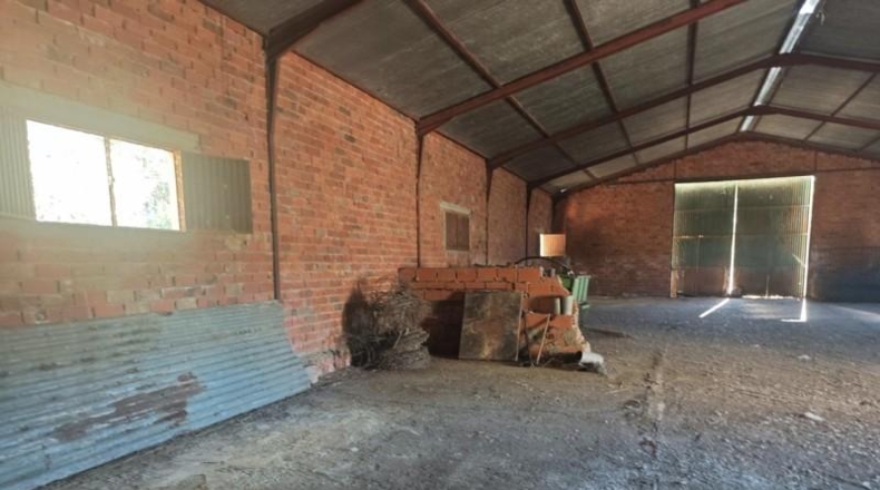 Cáceres - Plasencia - 10000m2