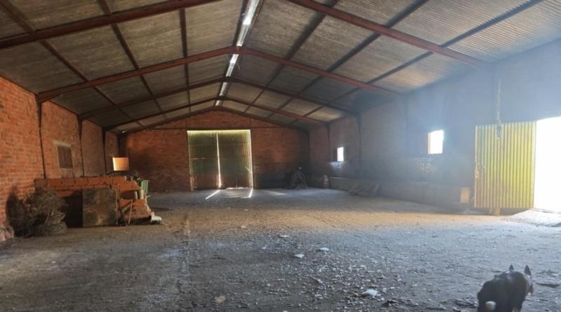 Cáceres - Plasencia - 10000m2