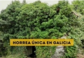 Casa de campo con terreno en venta en la España, Lalín, ref: TR379825 foto
