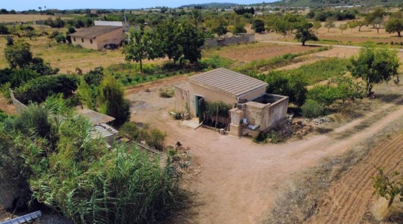Islas Baleares - Porreras - 2200m2
