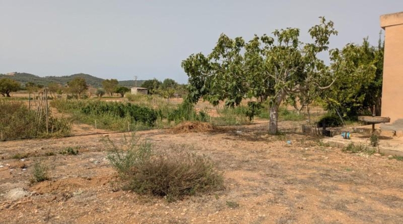 Islas Baleares - Porreras - 2200m2