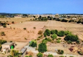 Detached villa with land for sale on España, Porreras, ref: TR330226 photo