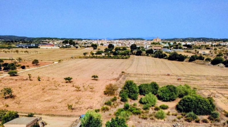 Islas Baleares - Porreras - 2200m2