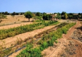 Detached villa with land for sale on España, Porreras, ref: TR330226 photo