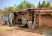 Detached villa with land for sale on España, Porreras, ref: TR330226 photo