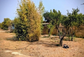 Foto 9