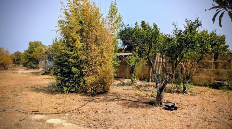 Islas Baleares - Porreras - 2200m2