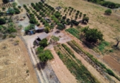 Detached villa with land for sale on España, Porreras, ref: TR330226 photo