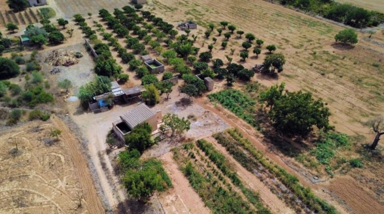 Islas Baleares - Porreras - 2200m2