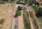 Detached villa with land for sale on España, Porreras, ref: TR330226 photo