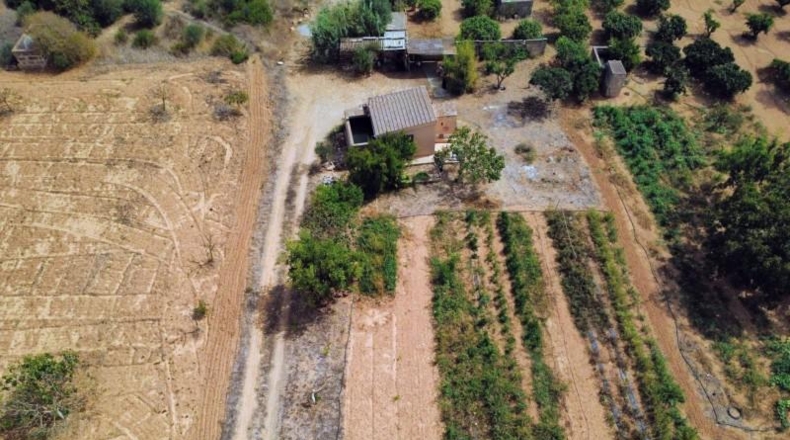 Islas Baleares - Porreras - 2200m2