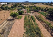 Detached villa with land for sale on España, Porreras, ref: TR330226 photo