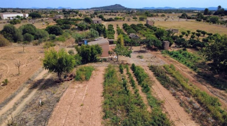 Islas Baleares - Porreras - 2200m2