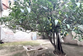 Don Benito 416&nbsp;m² 