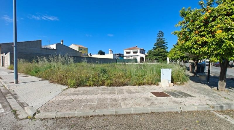 Alicante - Dolores - 626m2