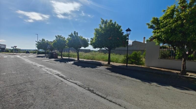 Alicante - Dolores - 626m2