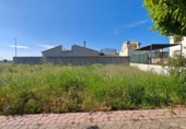 Urban land for sale on España, Alzira, ref: TR282548 photo