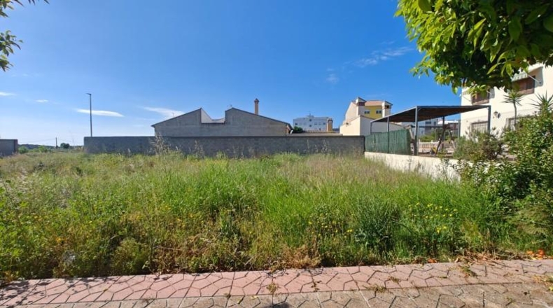 Alicante - Dolores - 626m2