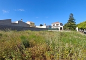 Urban land for sale on España, Alzira, ref: TR282548 photo