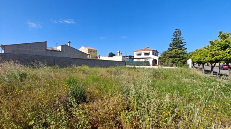 Alicante - Dolores - 626m2