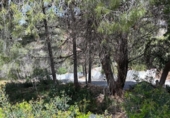 Sòl urbà en venda a la España, Altea, ref.: TR244059 foto