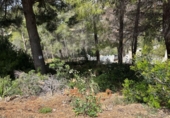 Sòl urbà en venda a la España, Altea, ref.: TR244059 foto