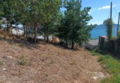 Non-developable land for sale on España, Sanxenxo, ref: TR244220 photo
