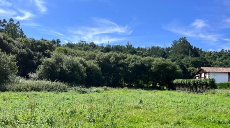 Cantabria - Reocín - 6486m2