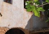 Casa de camp amb terreny en venda a la España, Vila-rodona, ref.: TR219391 foto