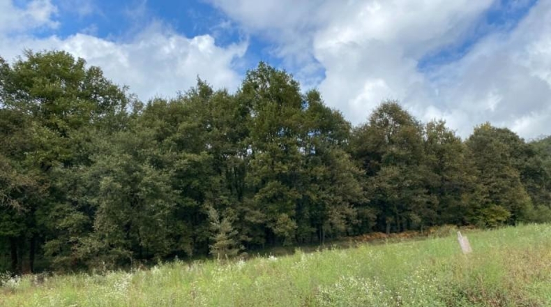 Gerona - Sant Feliu de Pallerols - 1474m2