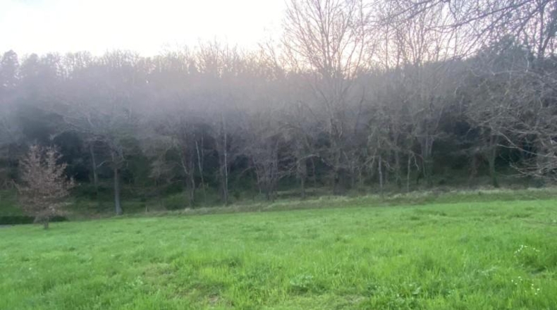 Gerona - Sant Feliu de Pallerols - 1474m2