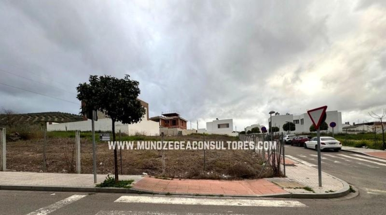 Córdoba - Lucena - 265m2