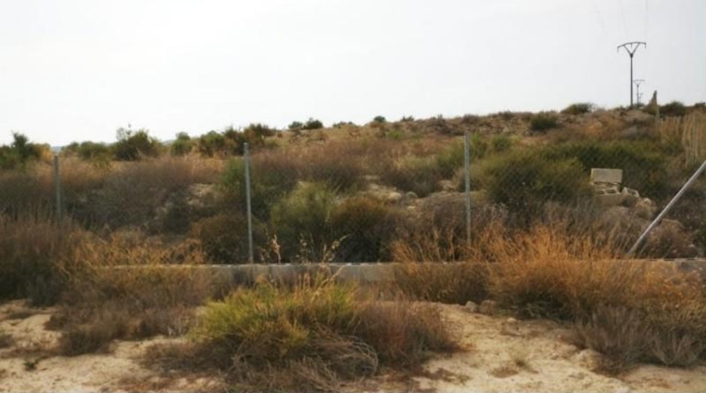 Alicante - Elche - 25000m2