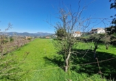 Parcel·la urbanitzable en venda a la España, Baiona, ref.: TR113062 foto