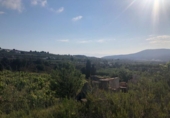 Non-developable land for sale on España, Teulada, ref: TR113614 photo