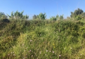 Non-developable land for sale on España, Teulada, ref: TR113614 photo