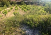 Non-developable land for sale on España, Teulada, ref: TR113614 photo