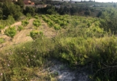 Non-developable land for sale on España, Teulada, ref: TR113614 photo