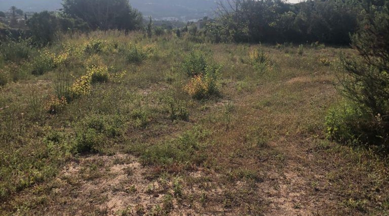 Alicante - Teulada - 11047m2