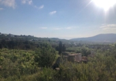 Non-developable land for sale on España, Teulada, ref: TR113614 photo