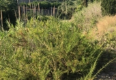 Non-developable land for sale on España, Teulada, ref: TR113614 photo