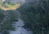 Non-developable land for sale on España, Teulada, ref: TR113614 photo