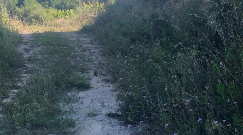 Alicante - Teulada - 11047m2